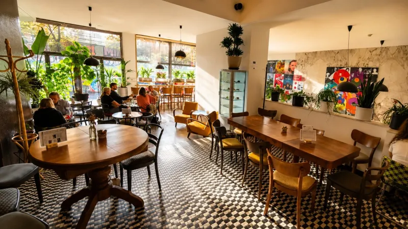Café Atlas rostlin